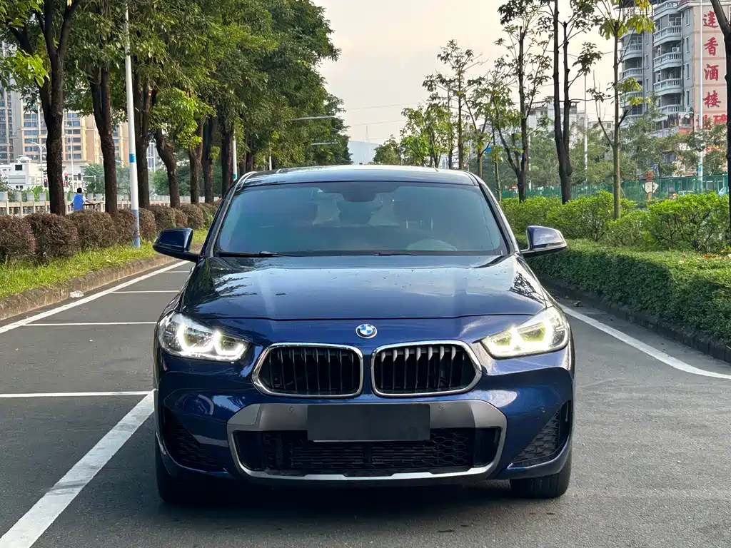 BMW X2 — миниатюра 2