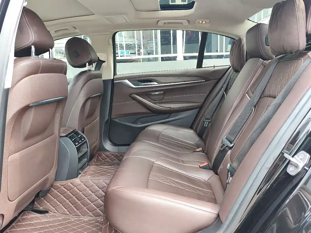 BMW 5 Series 5 2020 530Li Lead Luxury