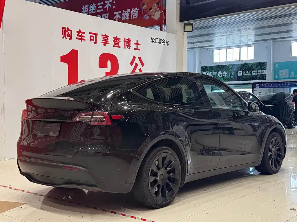 Tesla Model Y — миниатюра 4