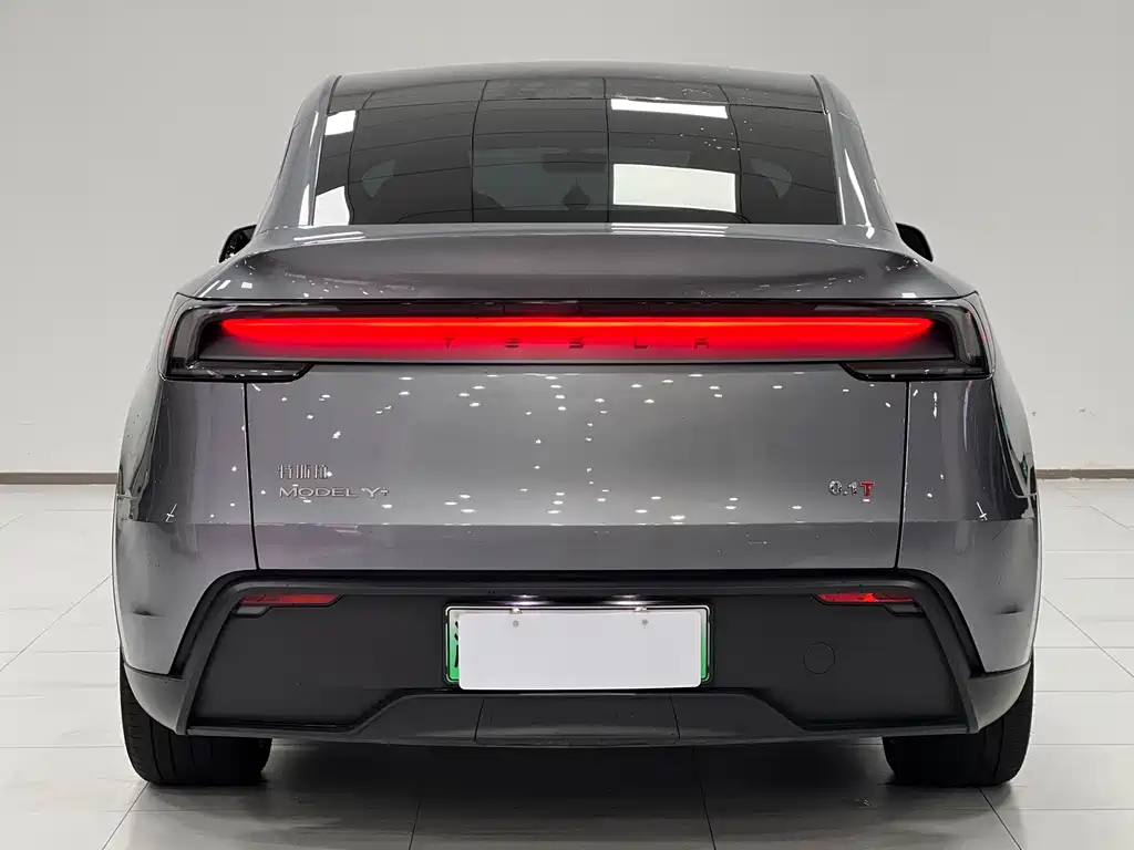 Tesla Model Y — миниатюра 6