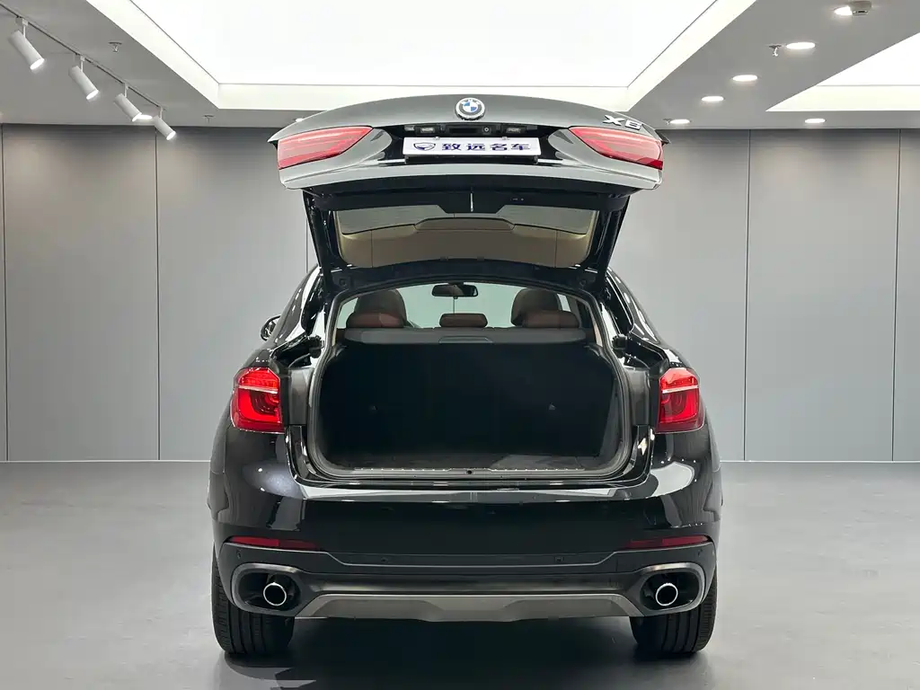 BMW X6 — миниатюра 28