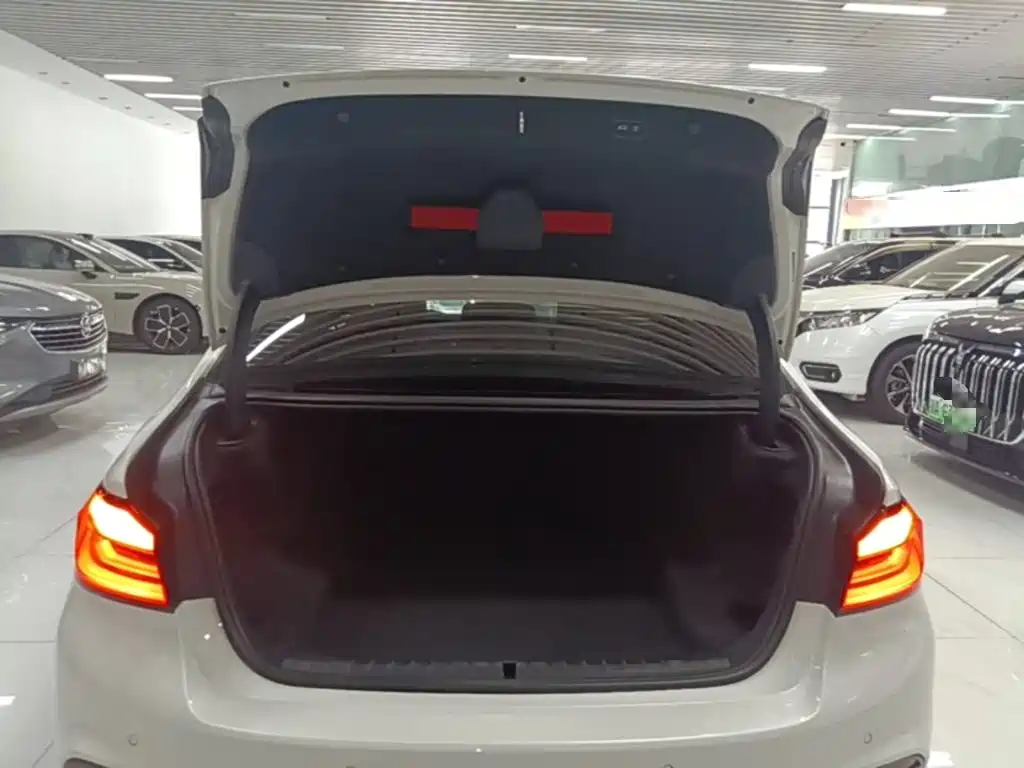 BMW 5 Series — миниатюра 19