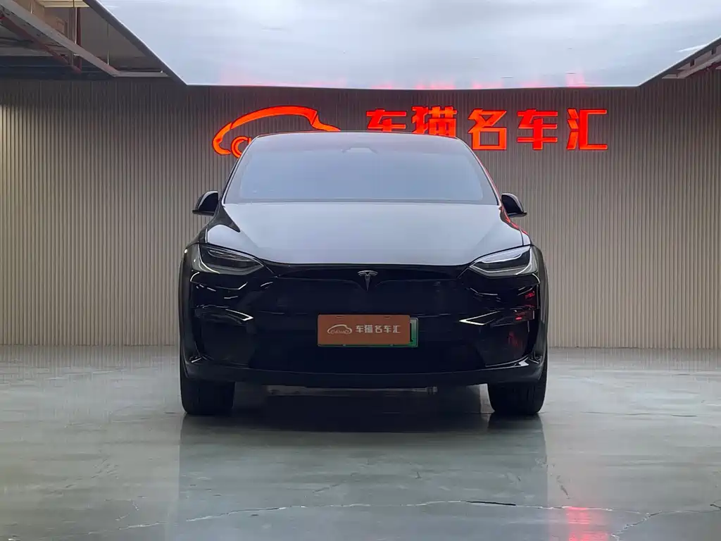 Tesla Model X — миниатюра 2