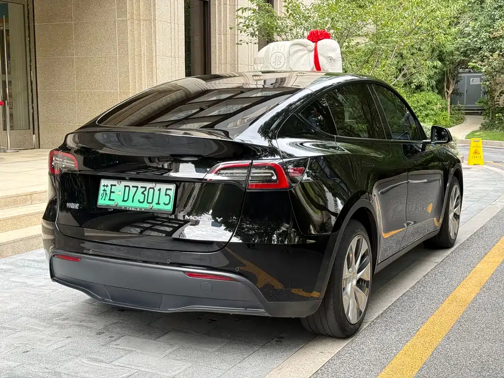 Tesla Model Y — миниатюра 4