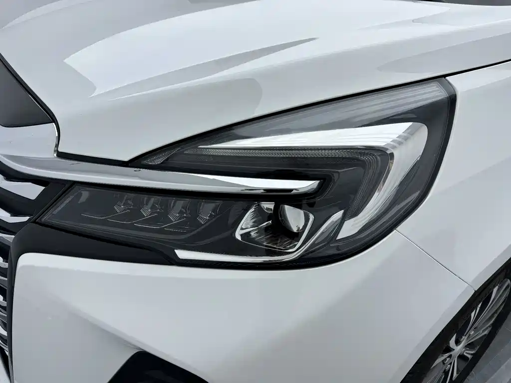 Buick GL8 — миниатюра 18