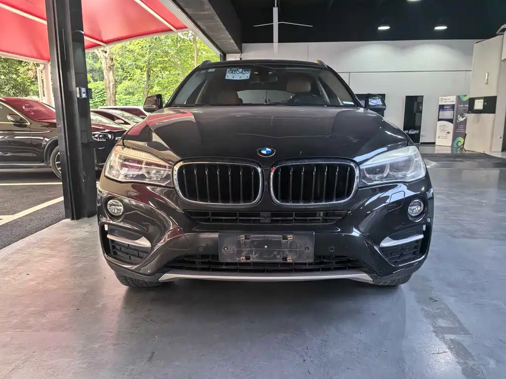 BMW X6 — миниатюра 2