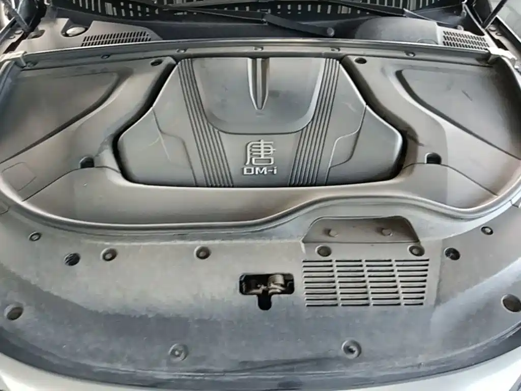 BYD Tang New Energy — миниатюра 20