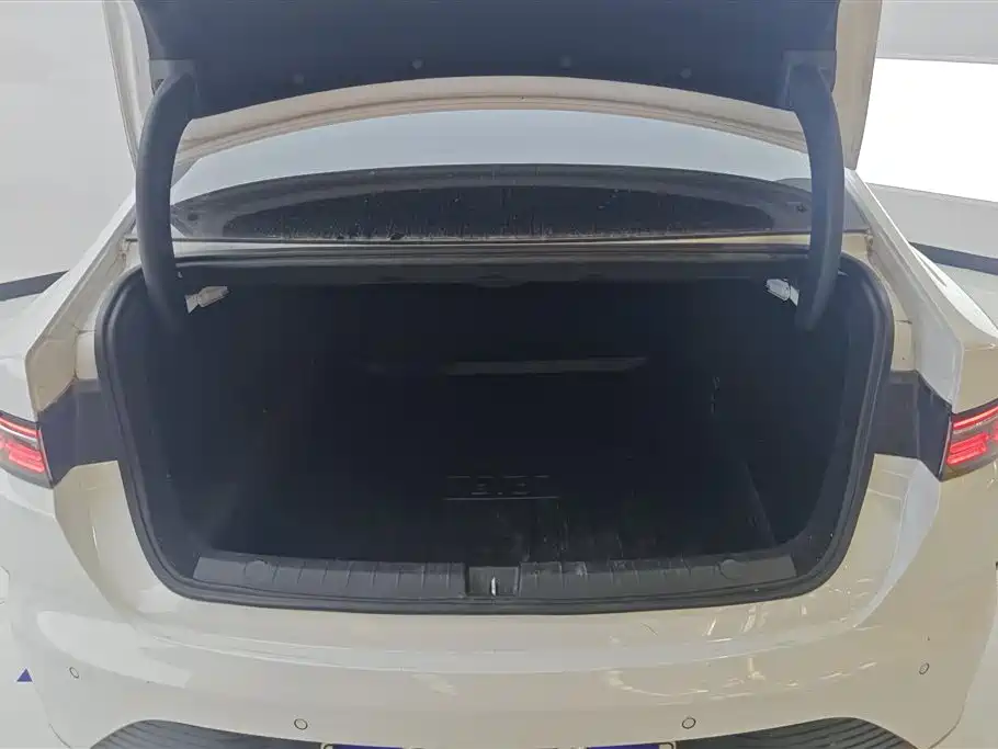 BYD Destroyer 05 2024 DM-i 55KM Luxury