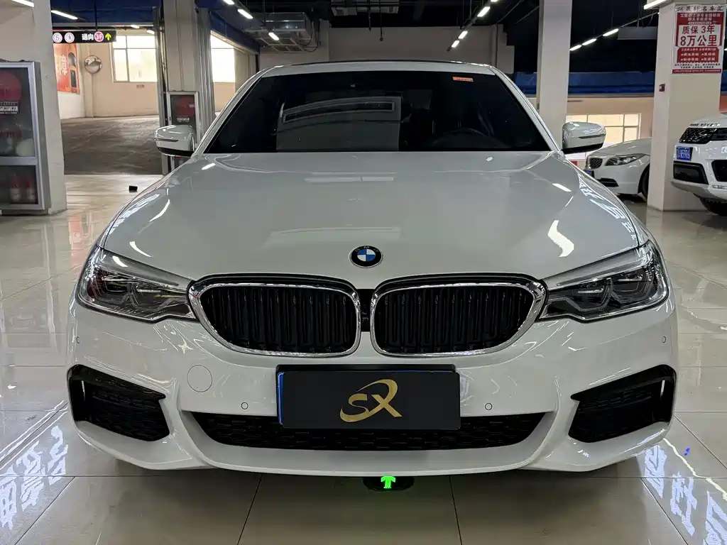 BMW 5 Series 5 2020 530Li xDrive M Sport