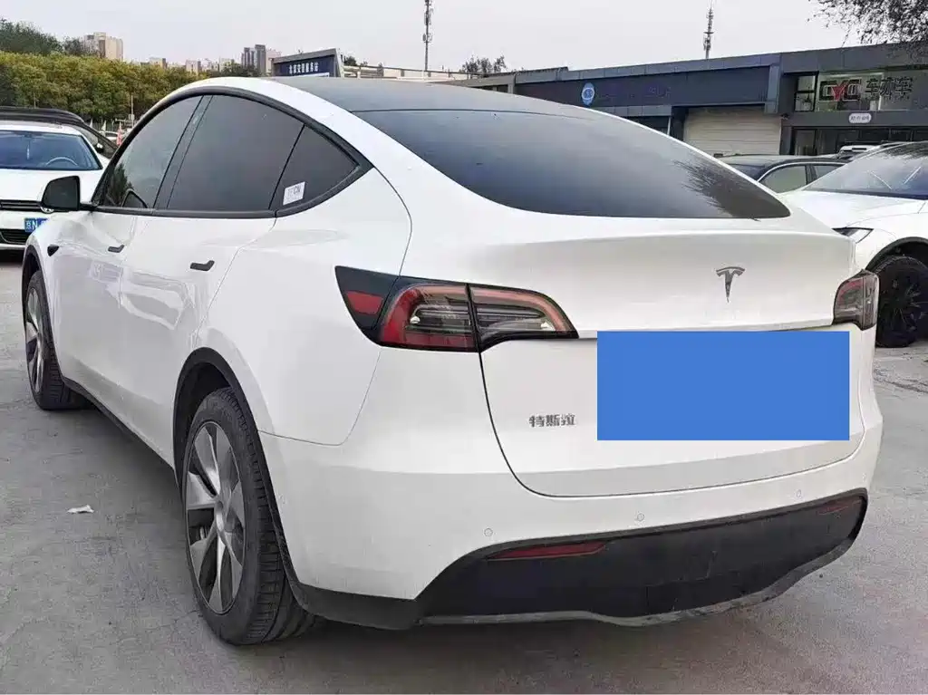 Tesla Model Y — миниатюра 4