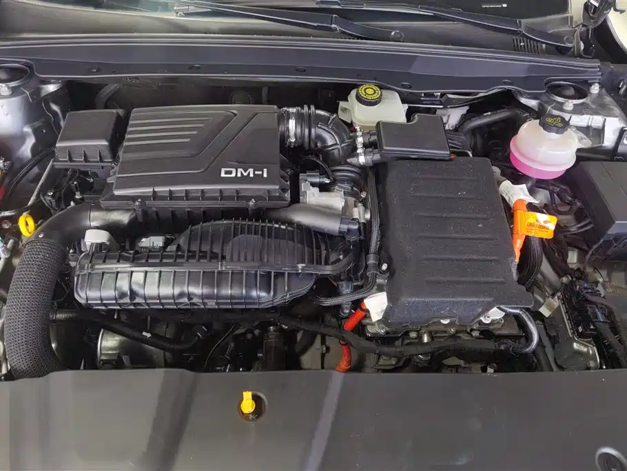 BYD Qin Plus PLUS 2023 Champion DM-i 55KM Lead