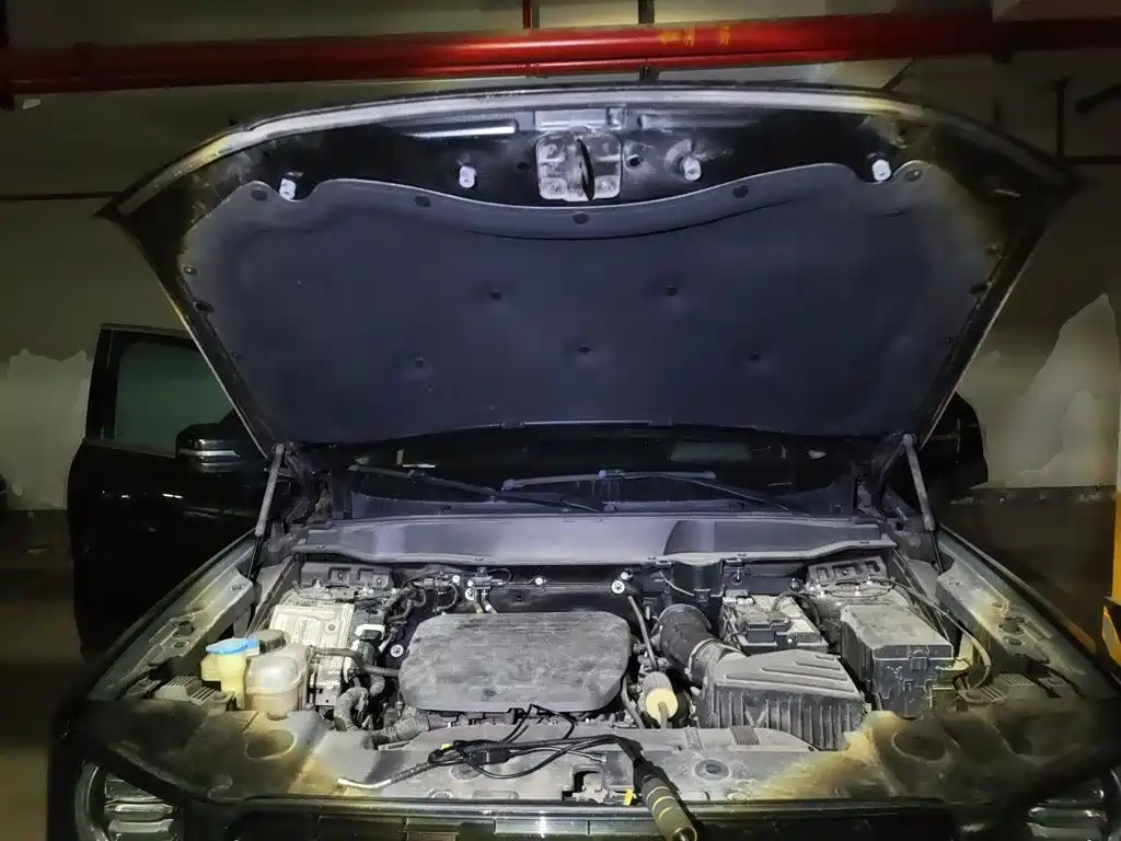 Haval Big Dog — миниатюра 16