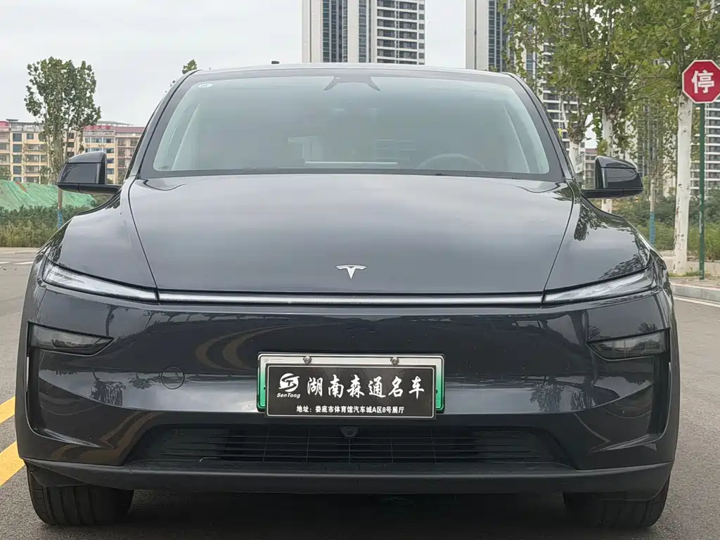 Tesla Model Y — миниатюра 18