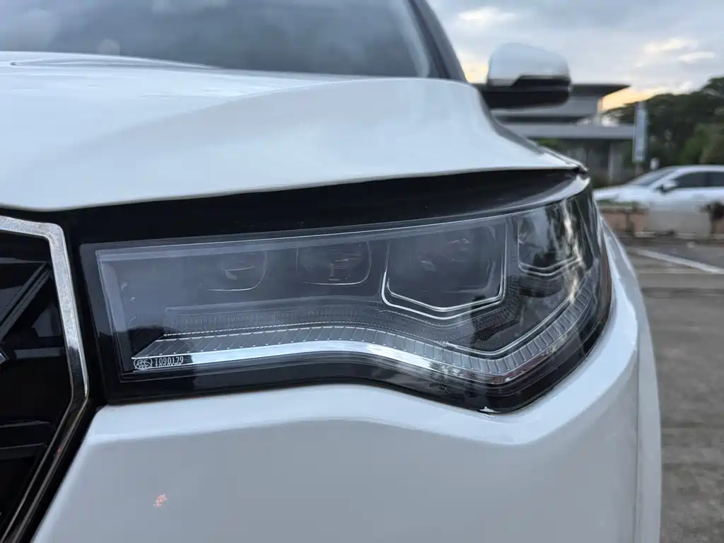 ZOTYE  T700