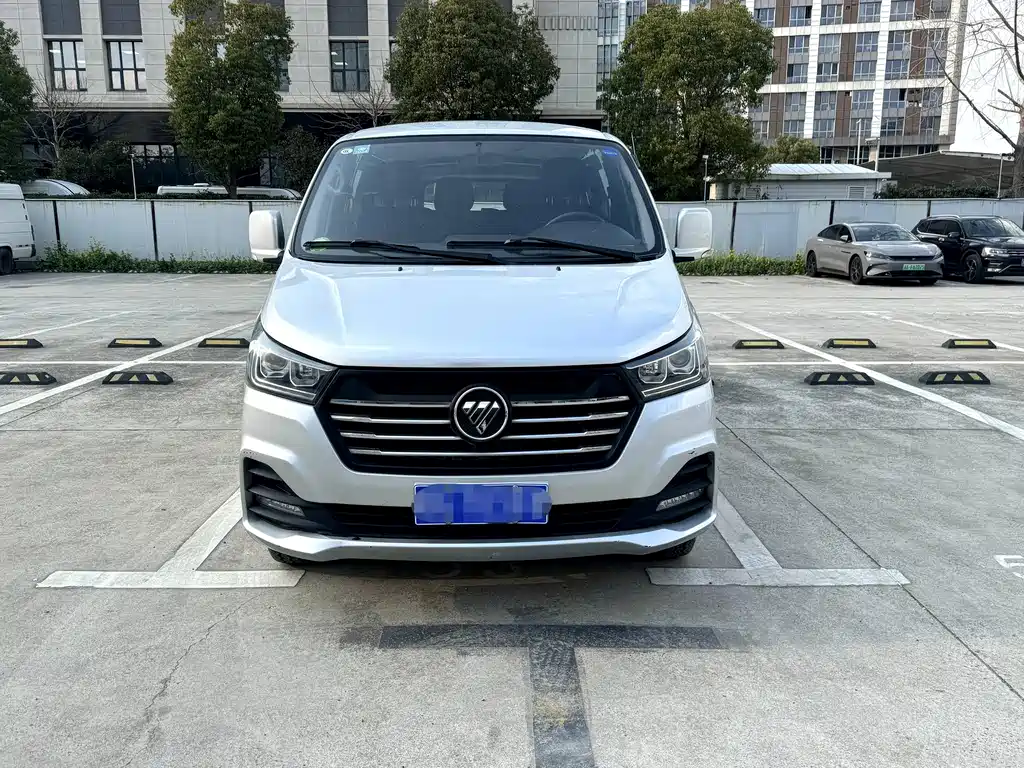 FOTON LANDSCAPE G5