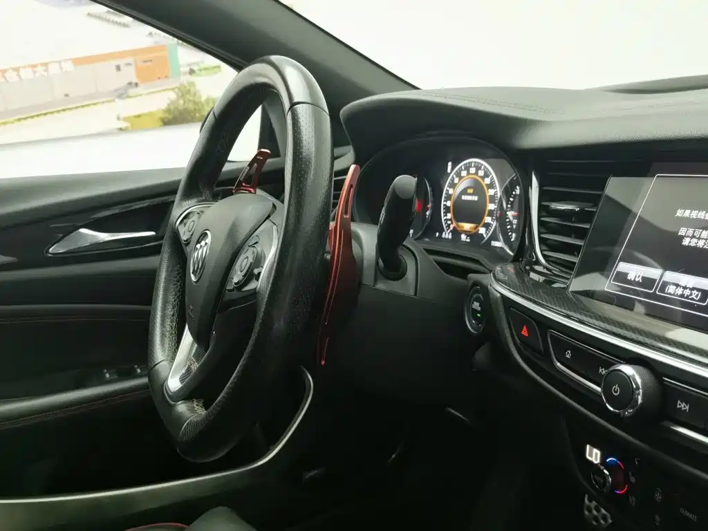 Buick Regal — миниатюра 22