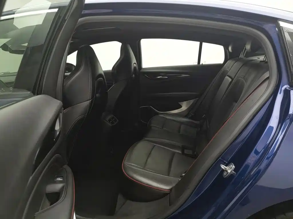 Buick Regal — миниатюра 15