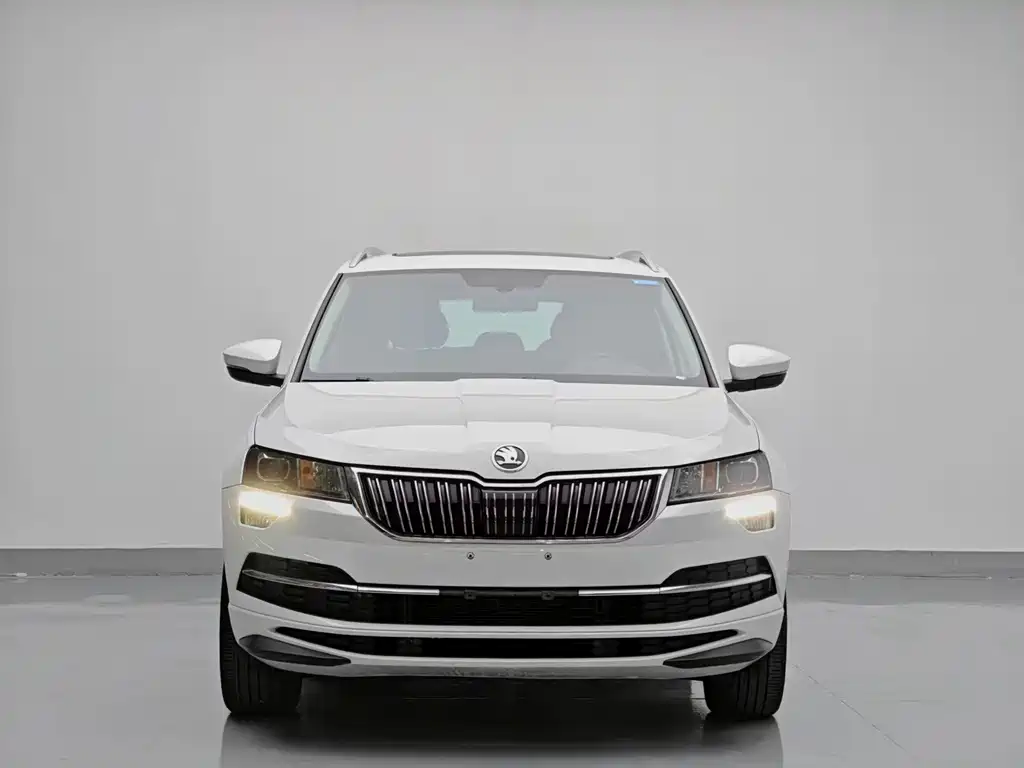 Skoda Karoq — миниатюра 2