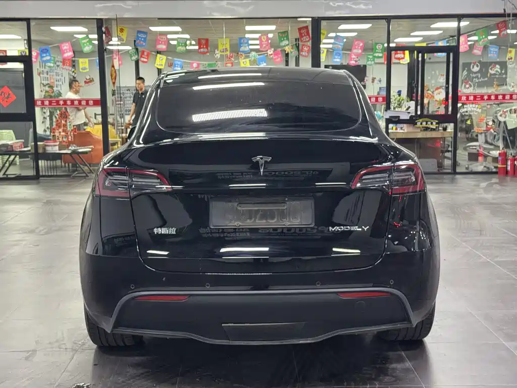 Tesla Model Y — миниатюра 18