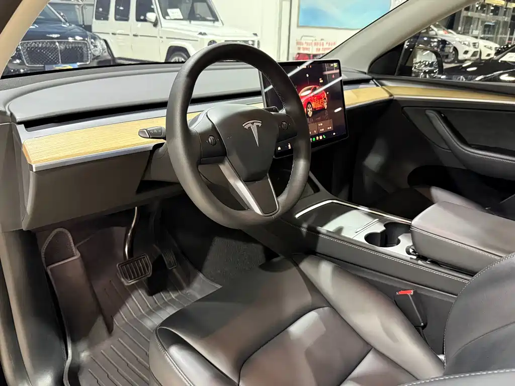 Tesla Model Y — миниатюра 5