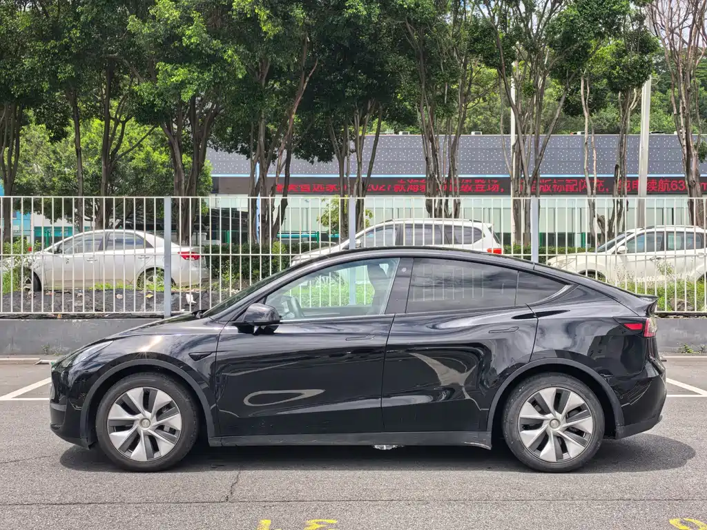 Tesla Model Y — миниатюра 4