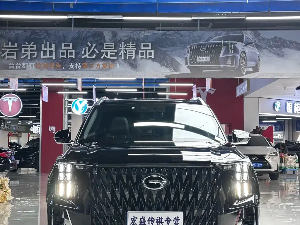 GAC Motor Trumpchi GS8 — миниатюра 3
