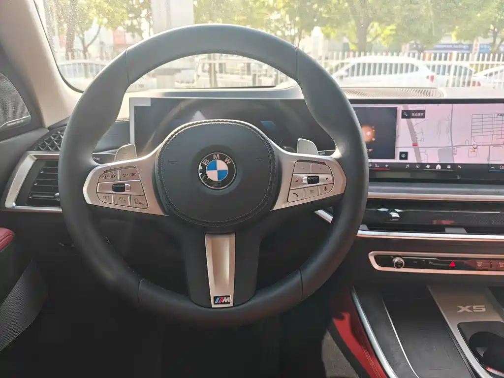 BMW X5 — миниатюра 11