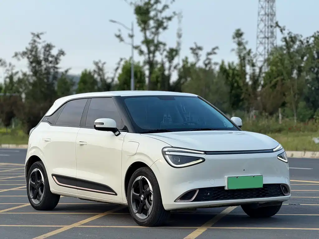 Dongfeng 01 2024 430 Max +