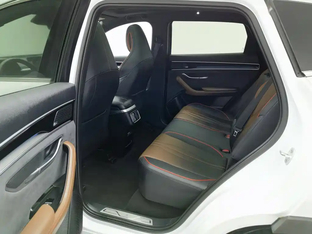 BYD PLUS — миниатюра 15