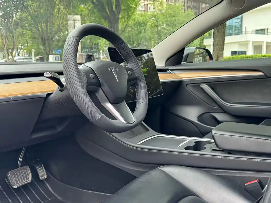 Tesla Model 3 — миниатюра 5