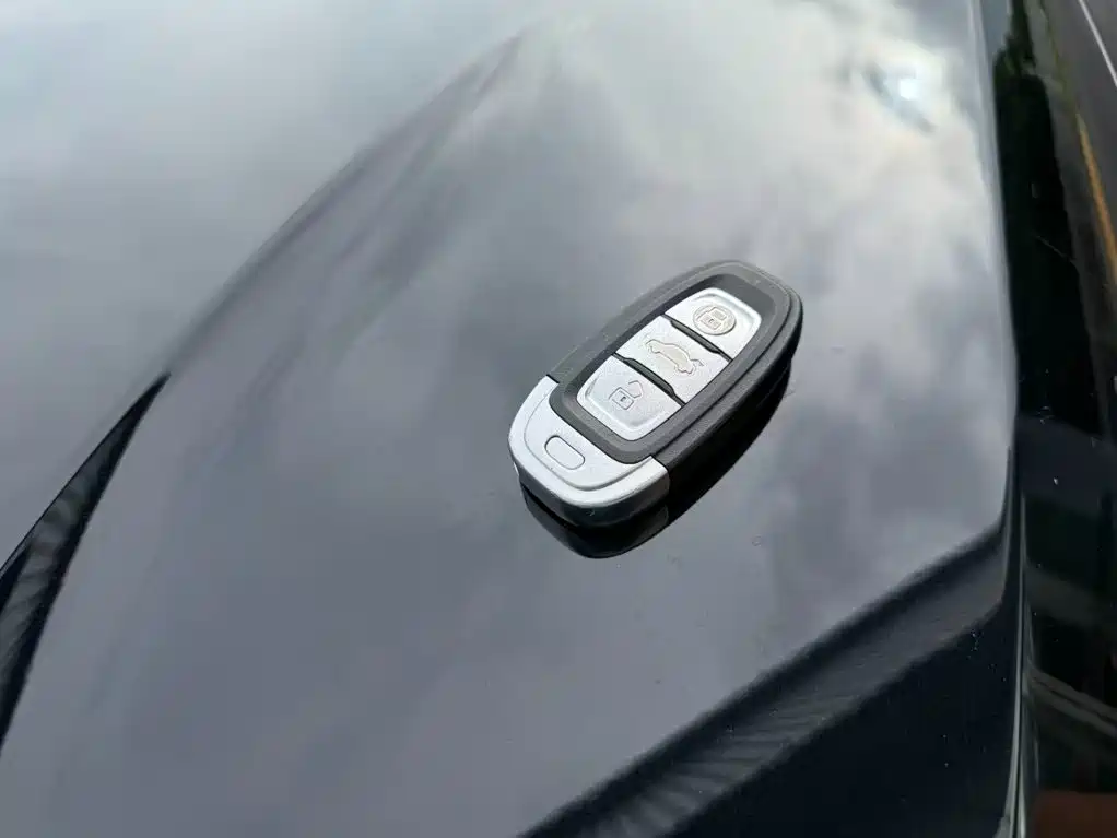 Hongqi Hongqi E-QM5 — миниатюра 11