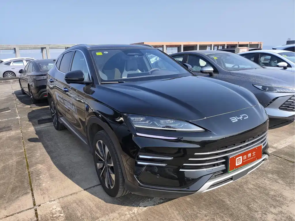 BYD PLUS New Energy 2025