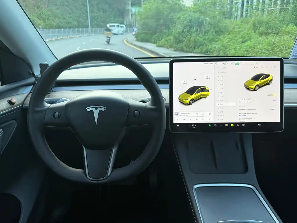 Tesla Model Y — миниатюра 10