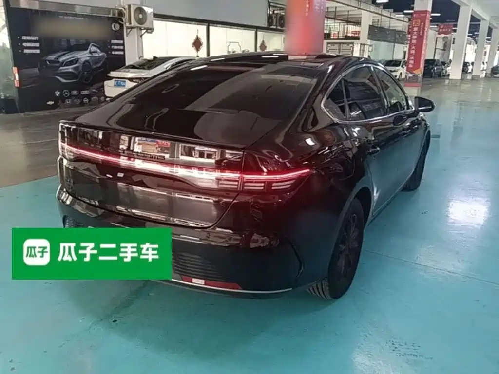 BYD Destroyer 05 2024 DM-i 55KM Luxury