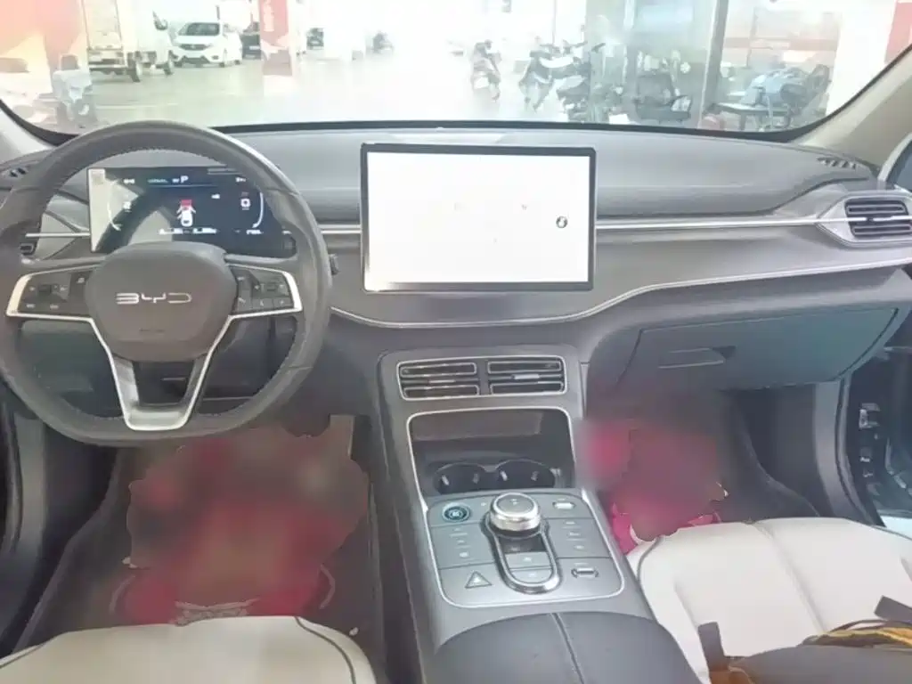 BYD Destroyer 05 2024 DM-i 55KM Luxury