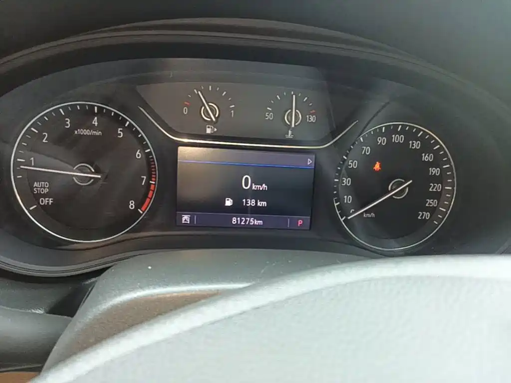 Buick Regal — миниатюра 12
