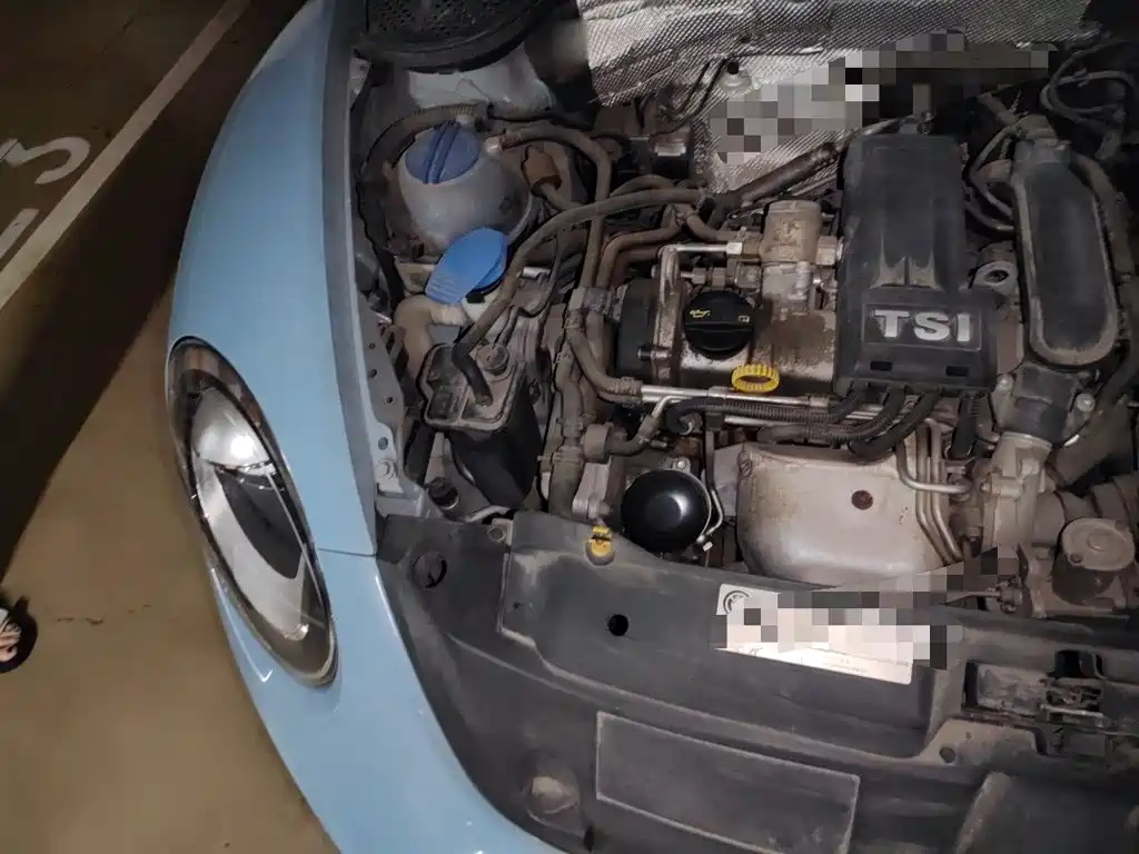 Volkswagen Beetle — миниатюра 19