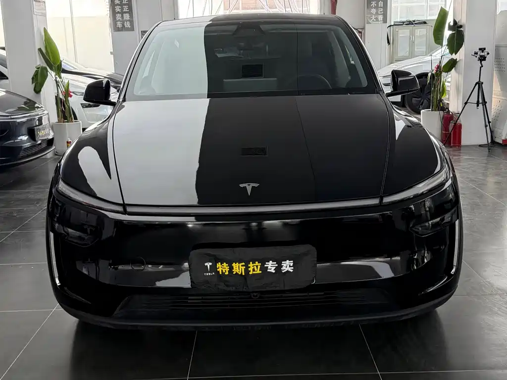 Tesla Model Y — миниатюра 2