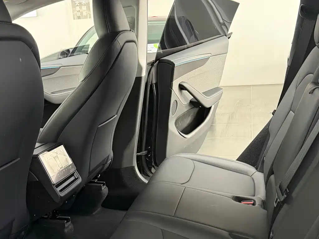 Tesla Model Y — миниатюра 9