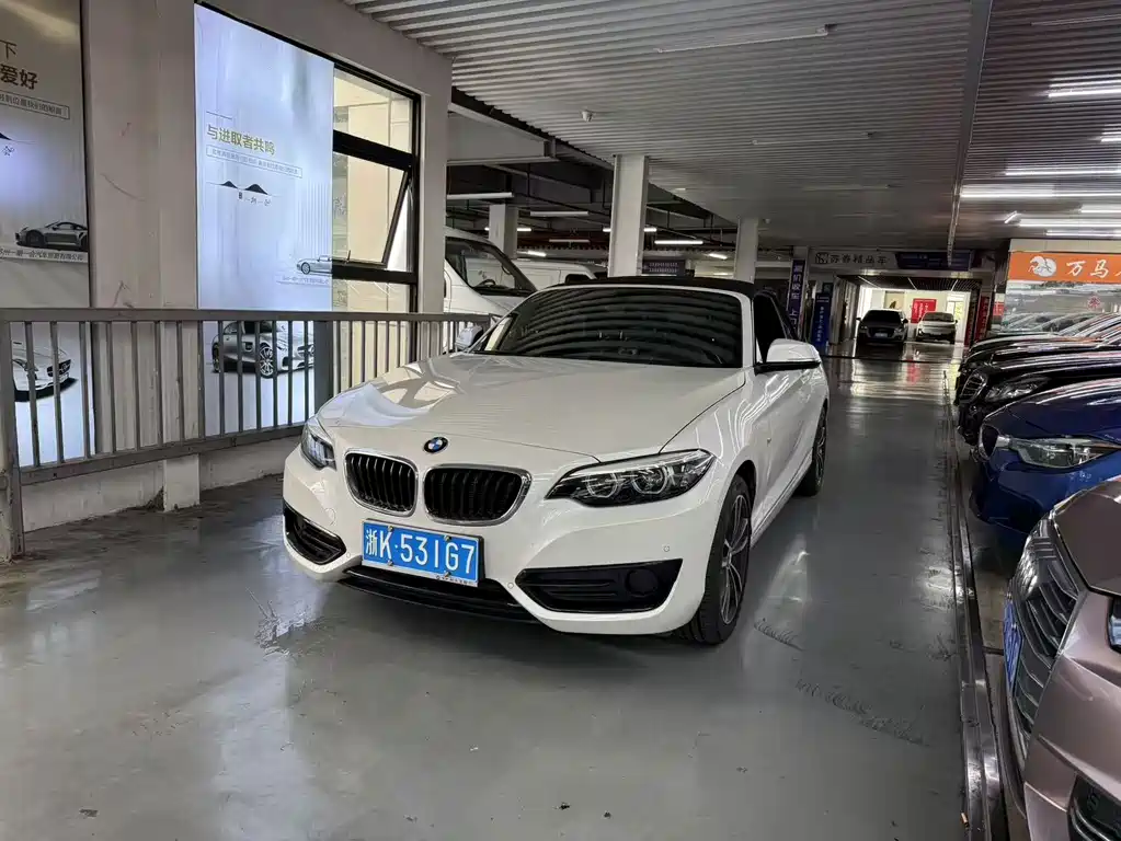 BMW 2 Series (Import)