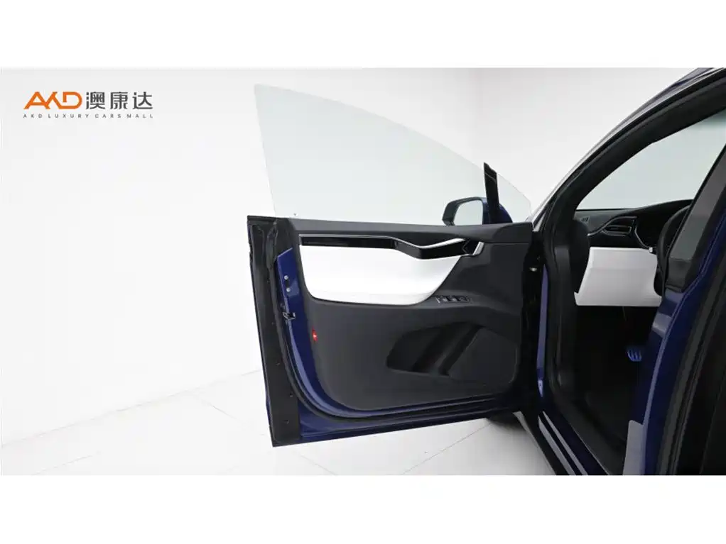 Tesla Model X — миниатюра 11
