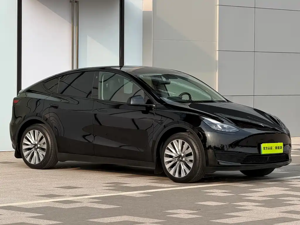 Tesla Model Y — миниатюра 3