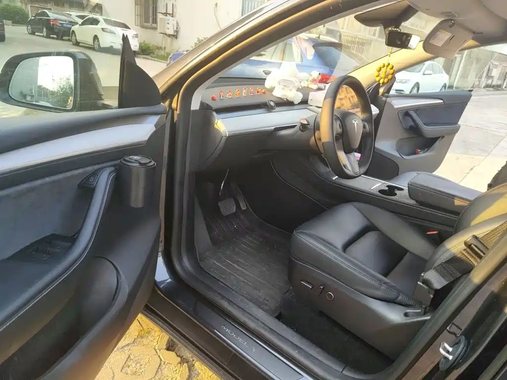 Tesla Model Y — миниатюра 14