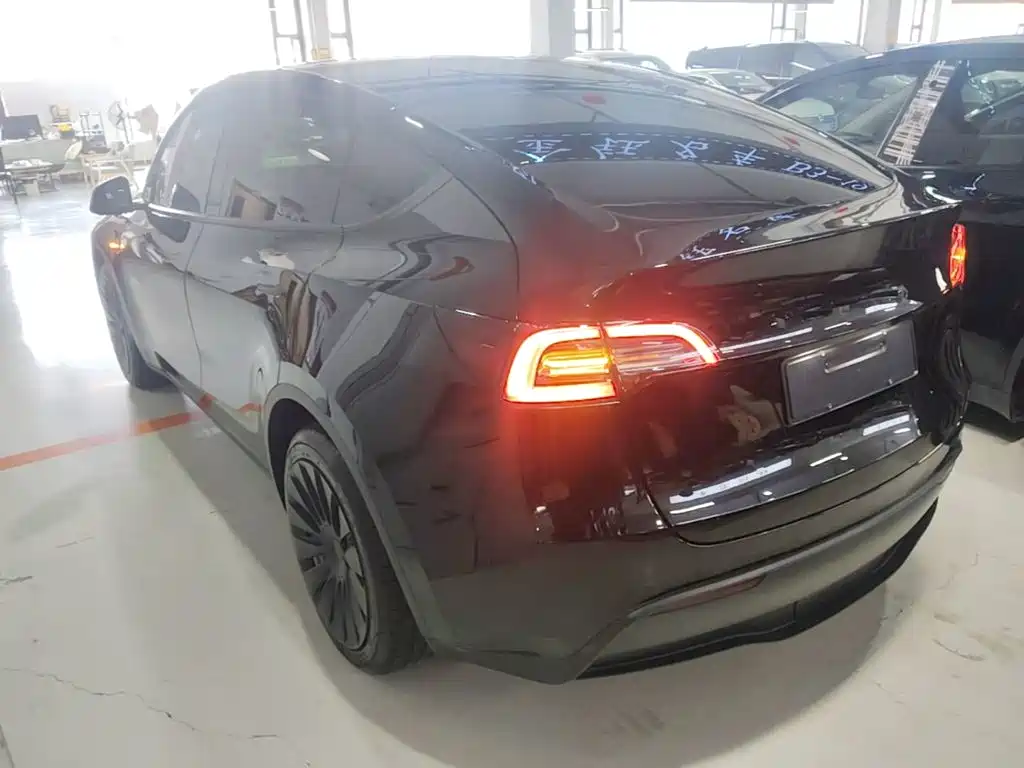 Tesla Model Y — миниатюра 5