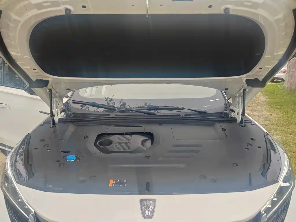 Roewe RX5 New Energy — миниатюра 7