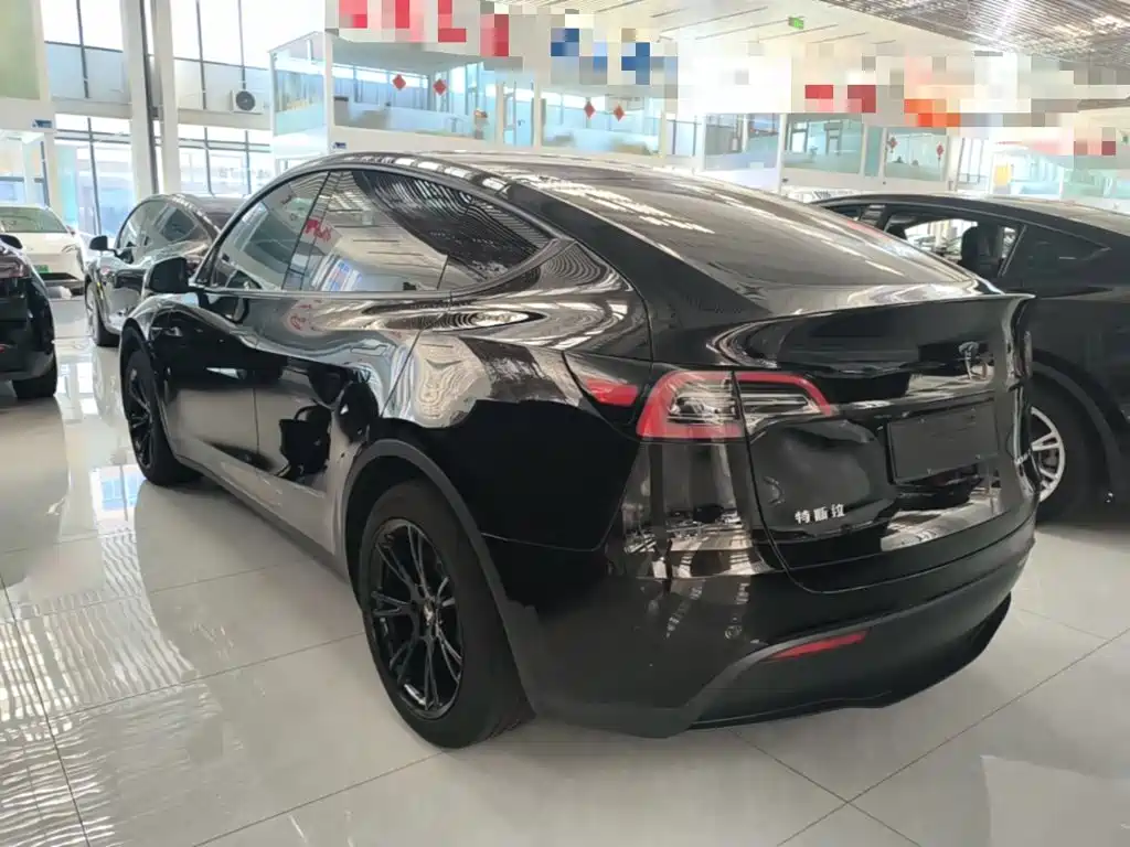 Tesla Model Y — миниатюра 5