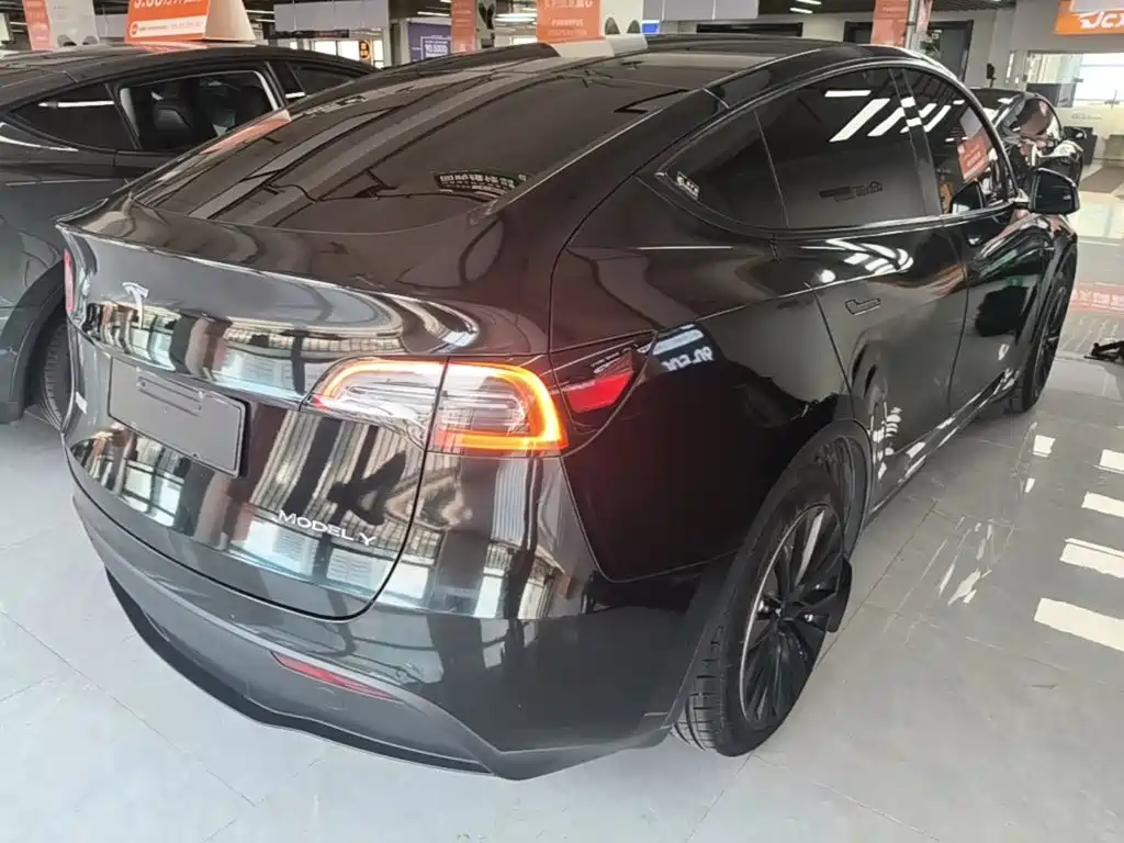 Tesla Model Y — миниатюра 7