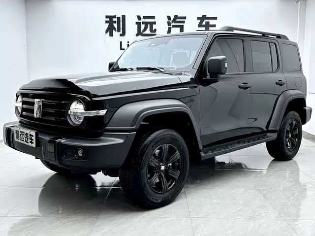 2025 TANK 300