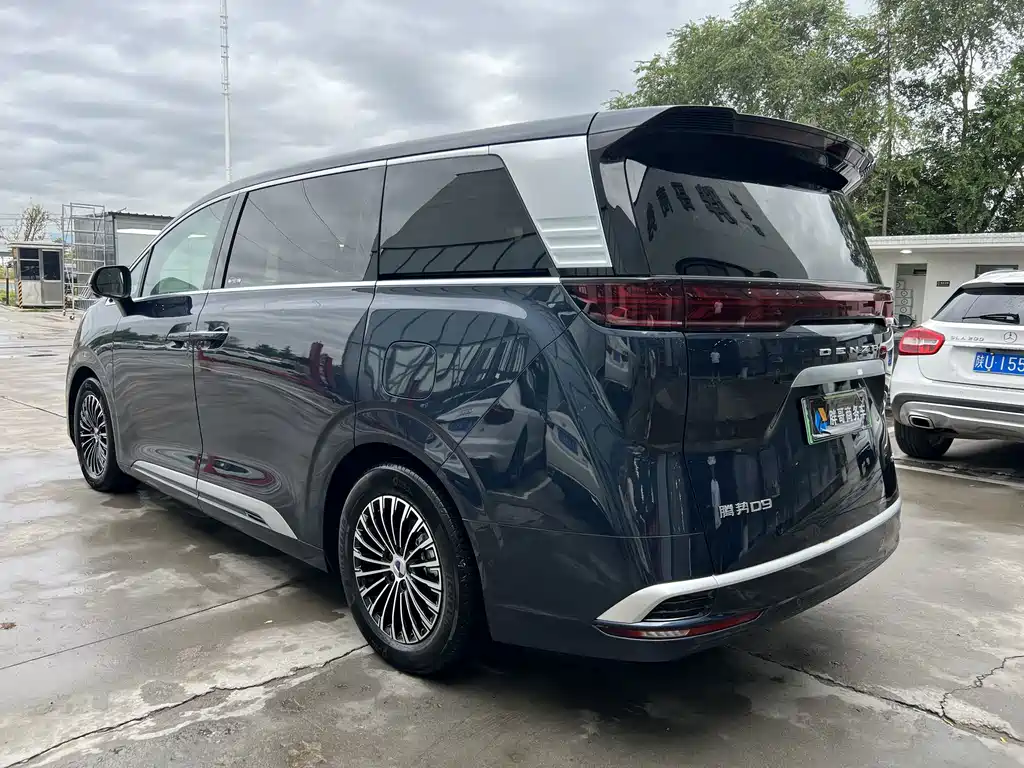 Denza Denza D9 — миниатюра 10