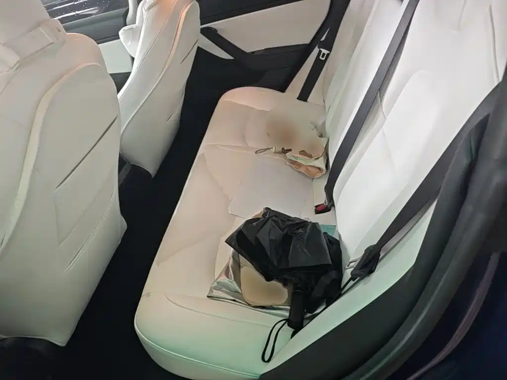 Tesla Model 3 — миниатюра 17